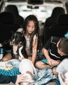 Training Tips for Families With Kids and Dogs