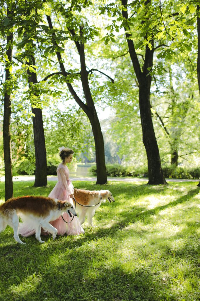 Mastering Loose Leash Walking Before Fall Adventures Begin