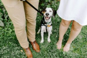 Mastering Loose Leash Walking Before Fall Adventures Begin