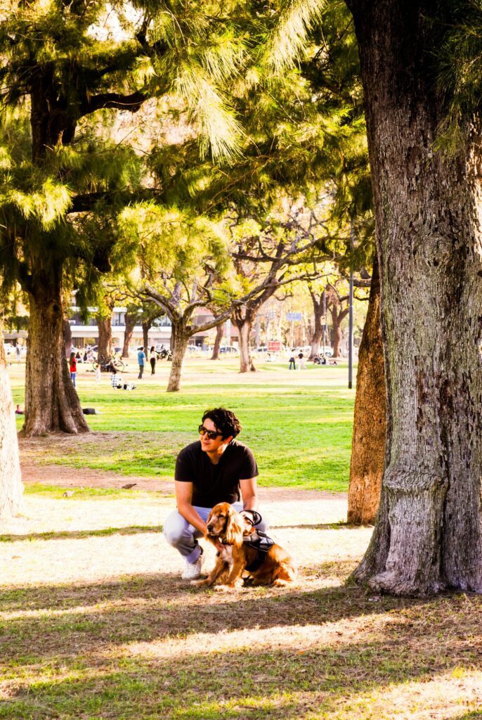 Socialization 101: Proven Confidence Boost for Dogs
