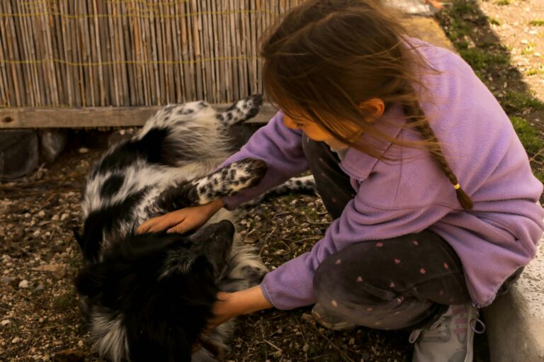 Training Tips for Families With Kids and Dogs
