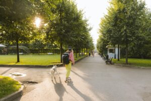 Socialization 101: Proven Confidence Boost for Dogs