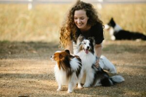Multi-Dog Success: Expert Training Tips for a Happy Pack