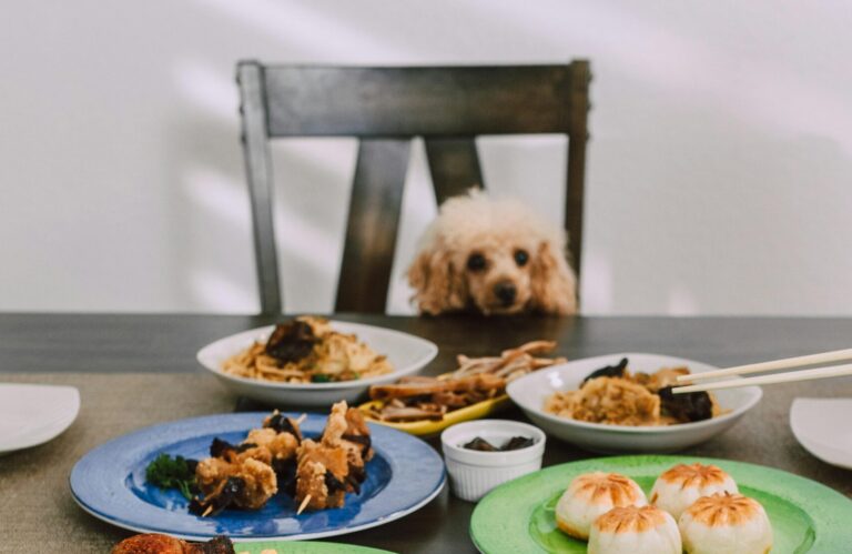 Thanksgiving Table Rules for Dogs: For a Happy Holiday