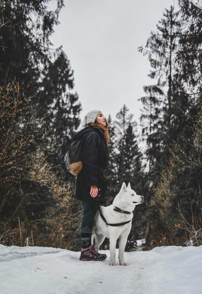 Winter Dog Training: Why Cold Months Are Perfect for Maximum Progress