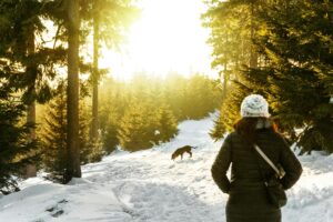 Winter Dog Training: Why Cold Months Are Perfect for Maximum Progress
