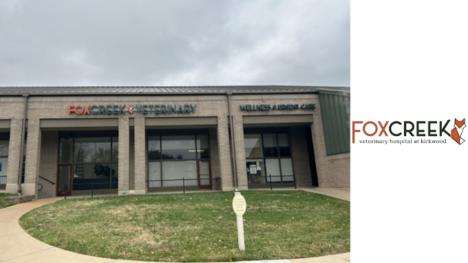 What Your Dog’s Wellness Exam Reveals About Their Training Progress