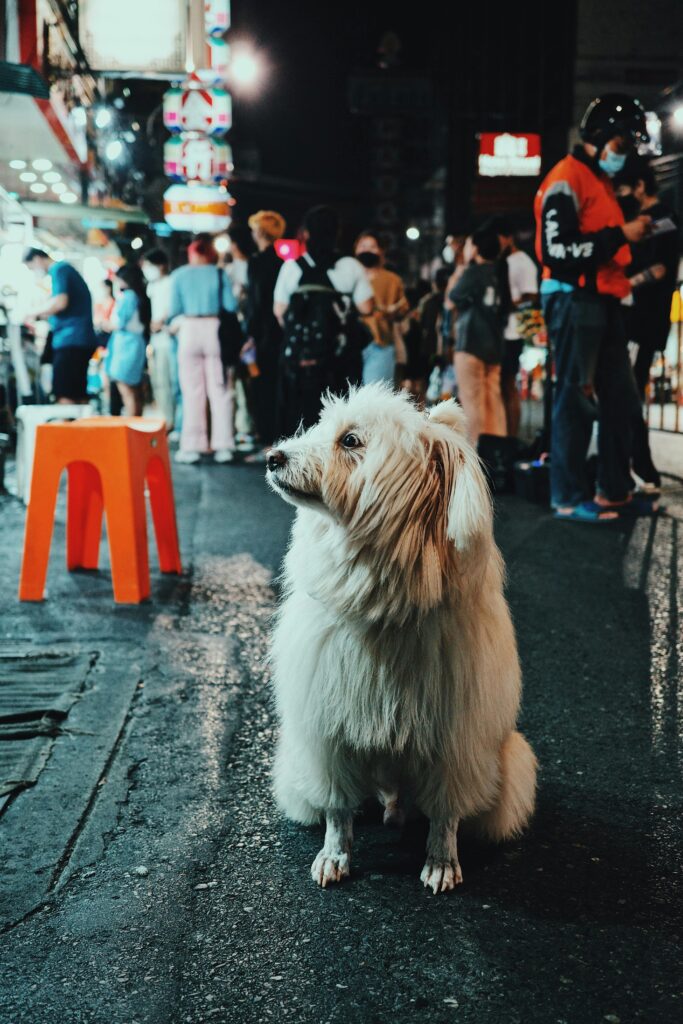 Building Successful Training Routines That Stick in the New Year