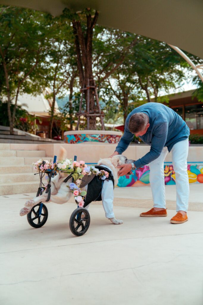 Valentine’s Week: Preventing Jealousy and Attention-Seeking Behaviors