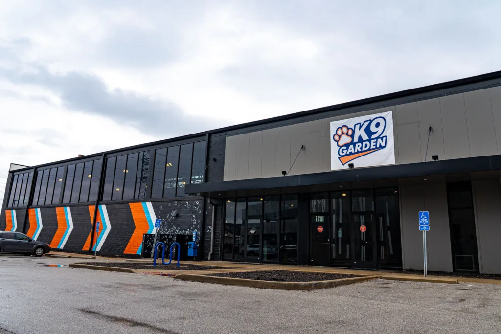 Dog park training tips for calm spring off-leash play