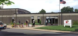 Rescue dog training plan for a calm first month