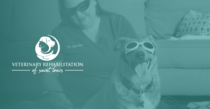 Veterinary Rehab of St. Louis (Ballwin, MO)