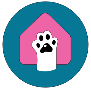 Dog walker training tips for calm leash walks in St. Louis